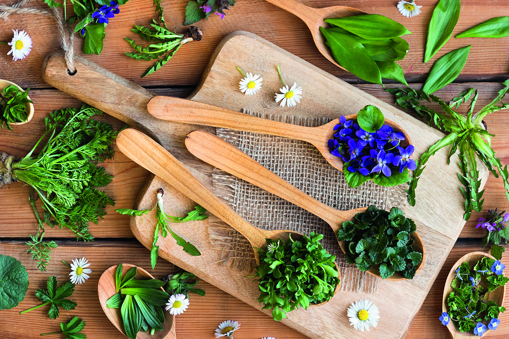 shutterstock_1062376745.jpg shutterstock_1062376745.jpg