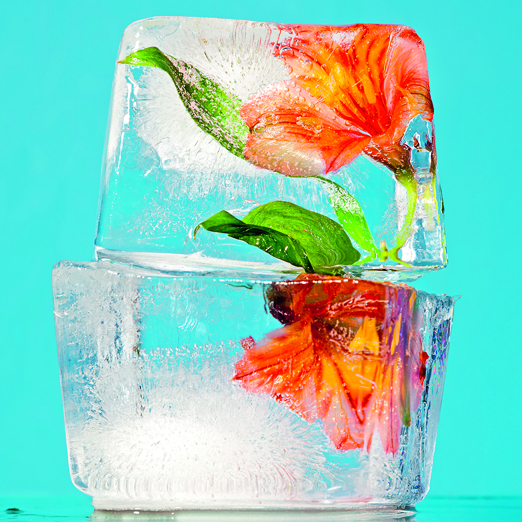 shutterstock_182965697.jpg shutterstock_182965697.jpg