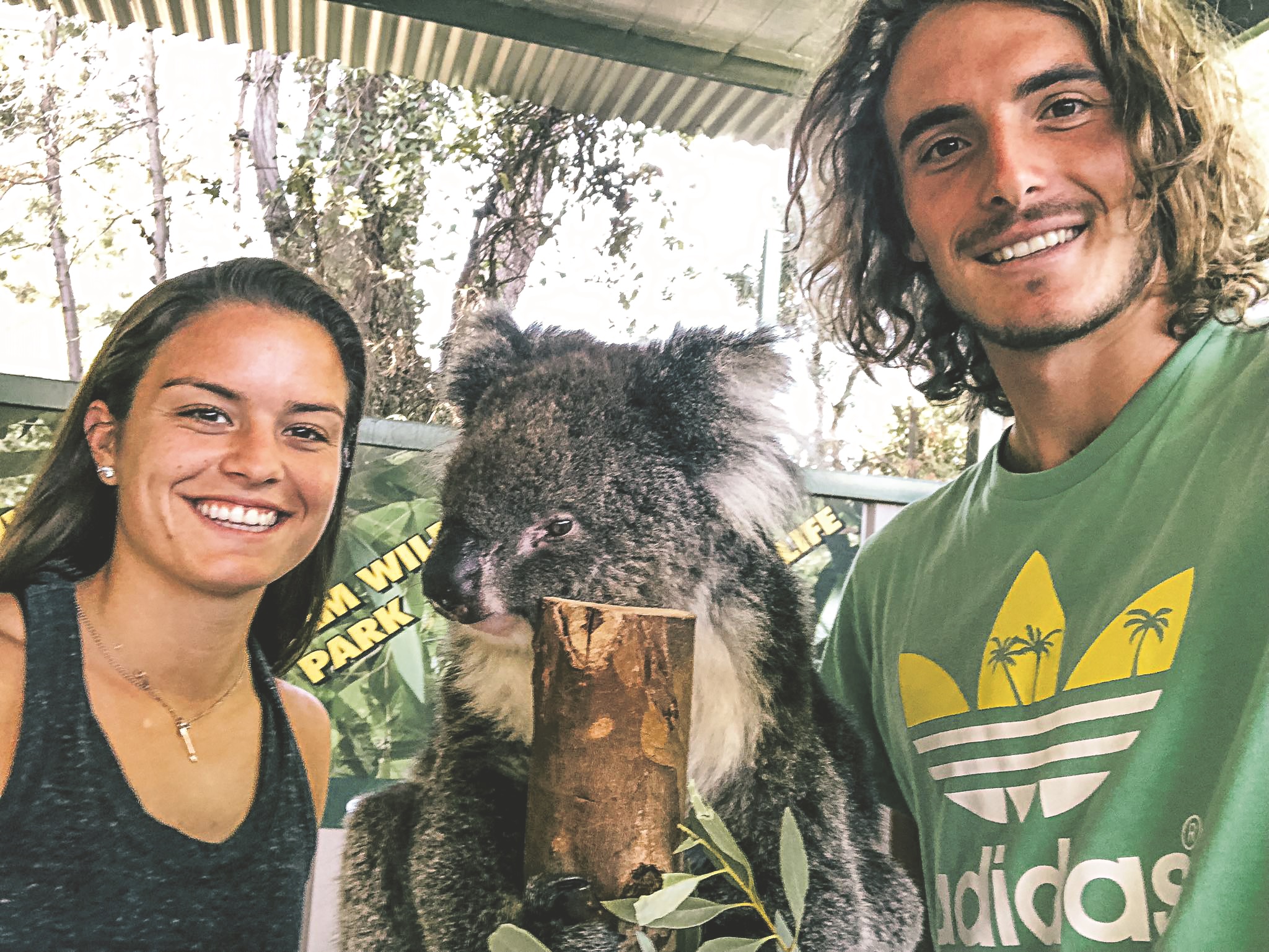 49028224_1079827222199644_380677292340281344_o.jpg 49028224_1079827222199644_380677292340281344_o.jpg