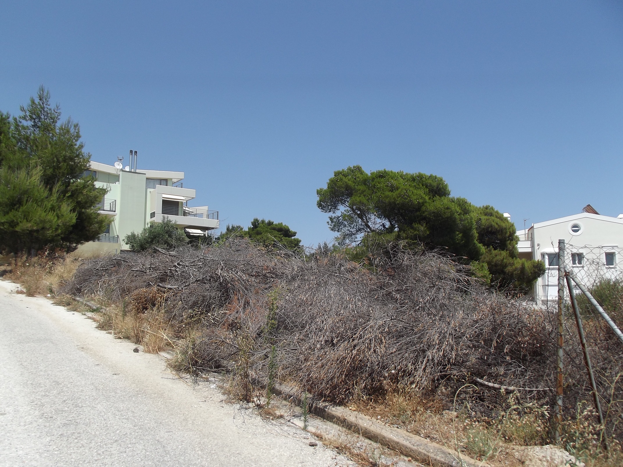 8e3e6f9d186971ab30ee0096884de85e.jpg 8e3e6f9d186971ab30ee0096884de85e.jpg