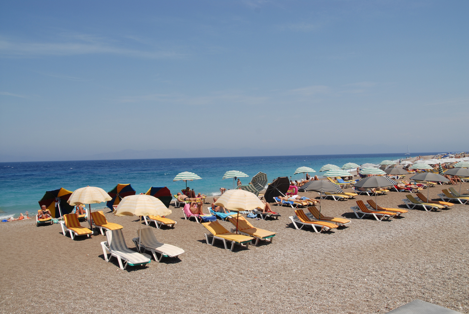 dsc_0059.jpg dsc_0059.jpg