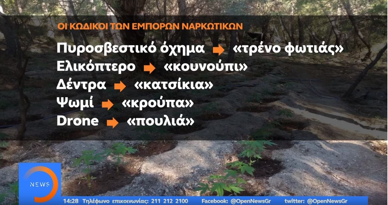 kothnothpi.jpg kothnothpi.jpg