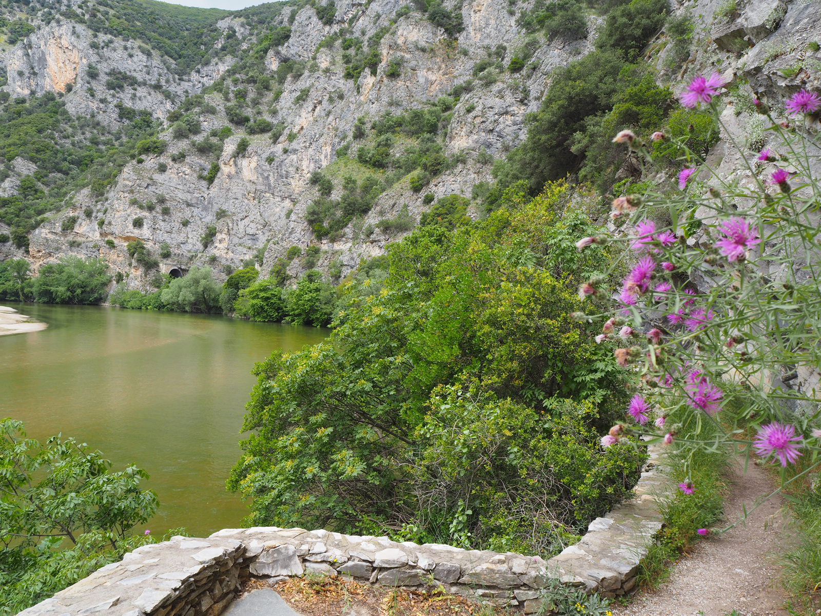 p5240033.jpg p5240033.jpg