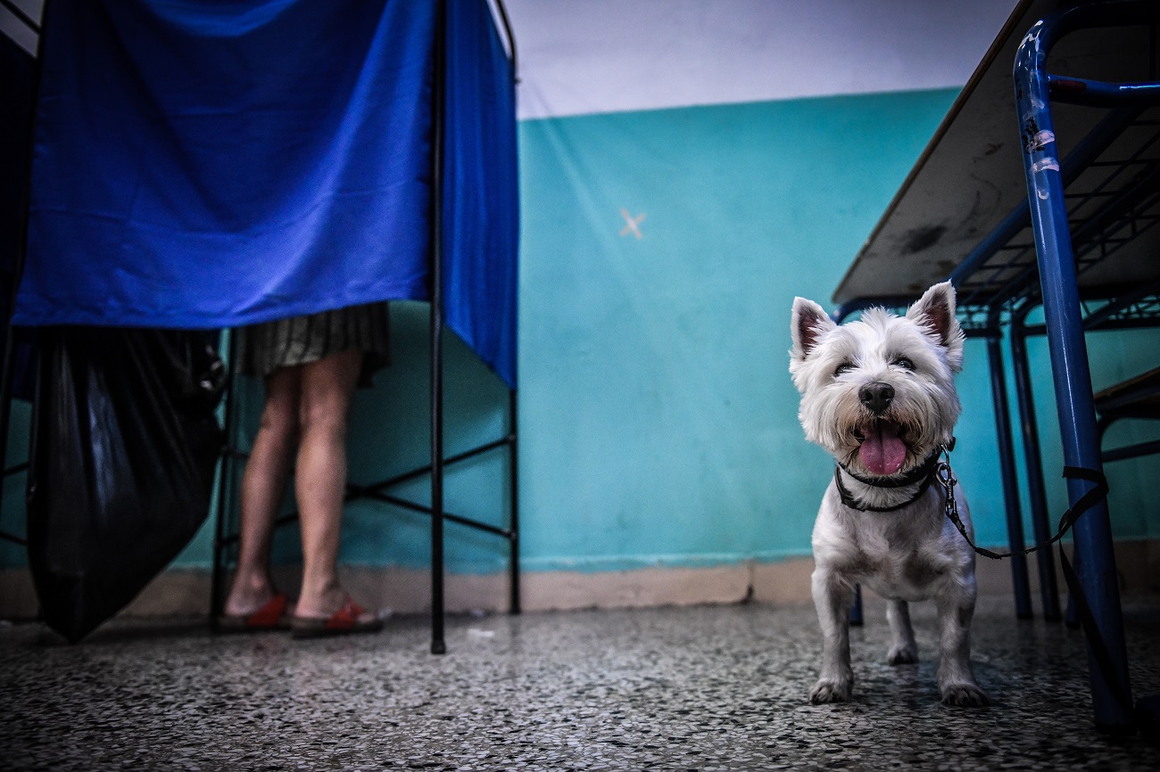 4846819.jpg 4846819.jpg