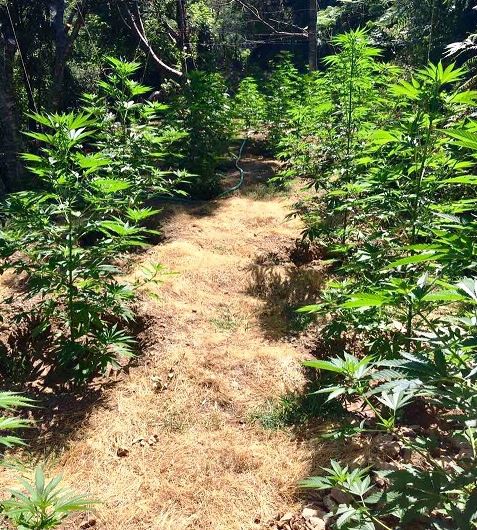 capture.jpg capture.jpg