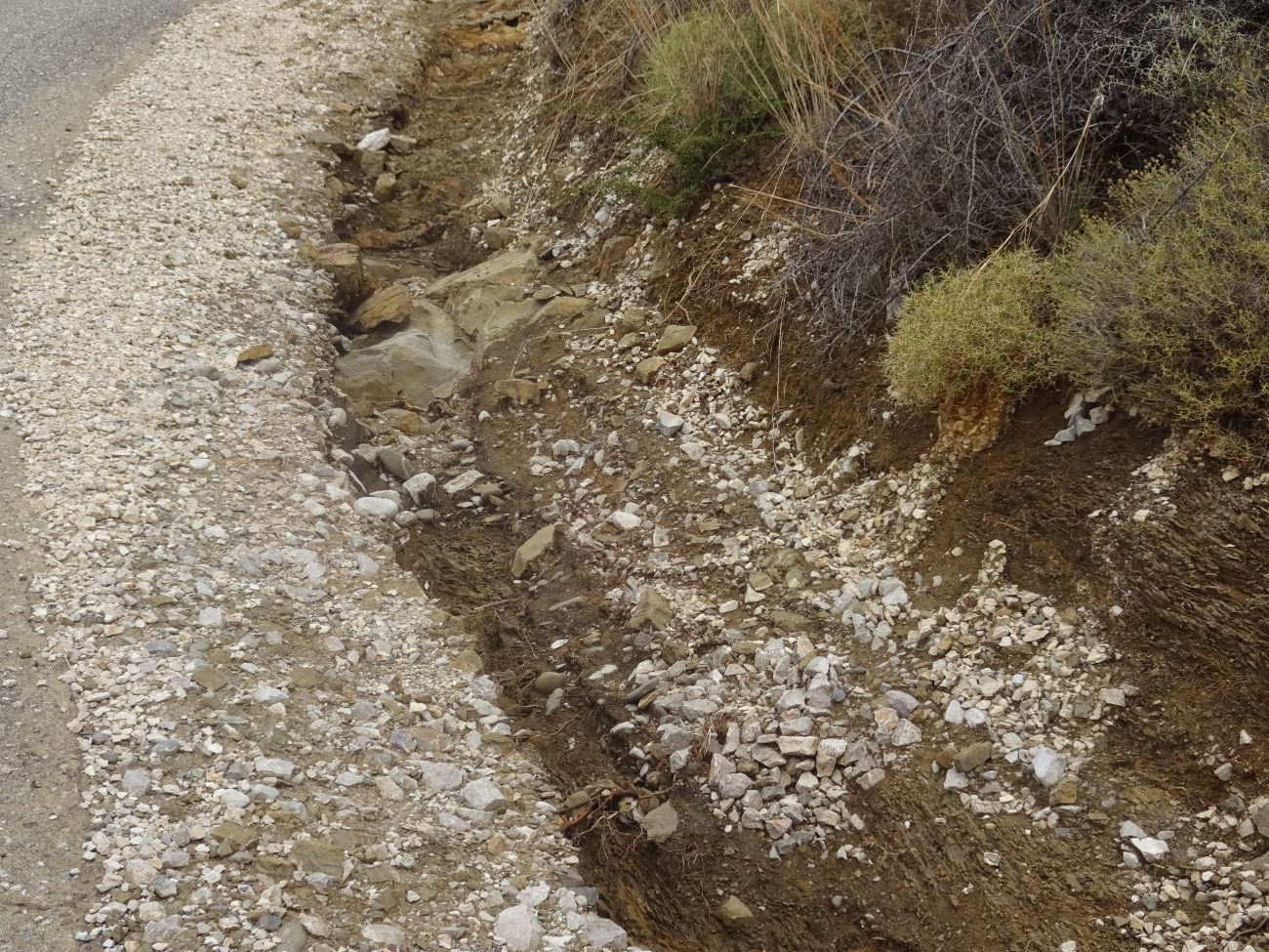 dsc02034.jpg dsc02034.jpg