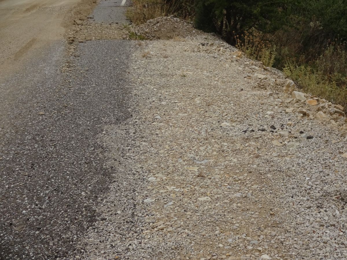 dsc02035.jpg dsc02035.jpg