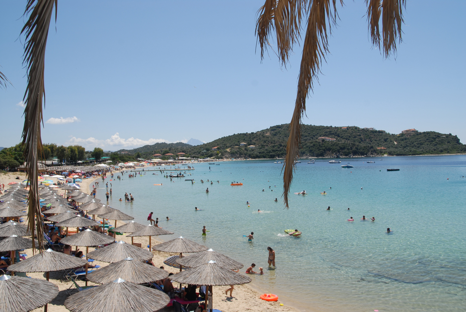 dsc_0066.jpg dsc_0066.jpg