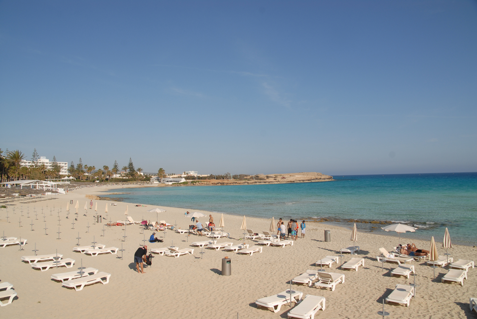 dsc_0095.jpg dsc_0095.jpg