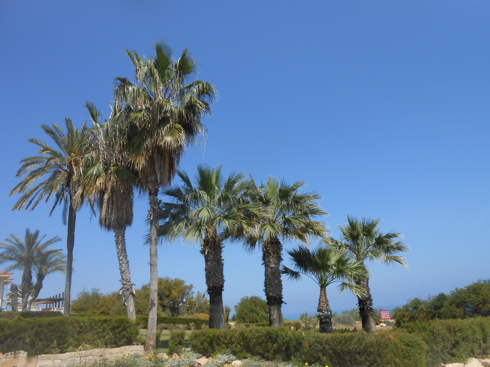 dscn9430.jpg dscn9430.jpg