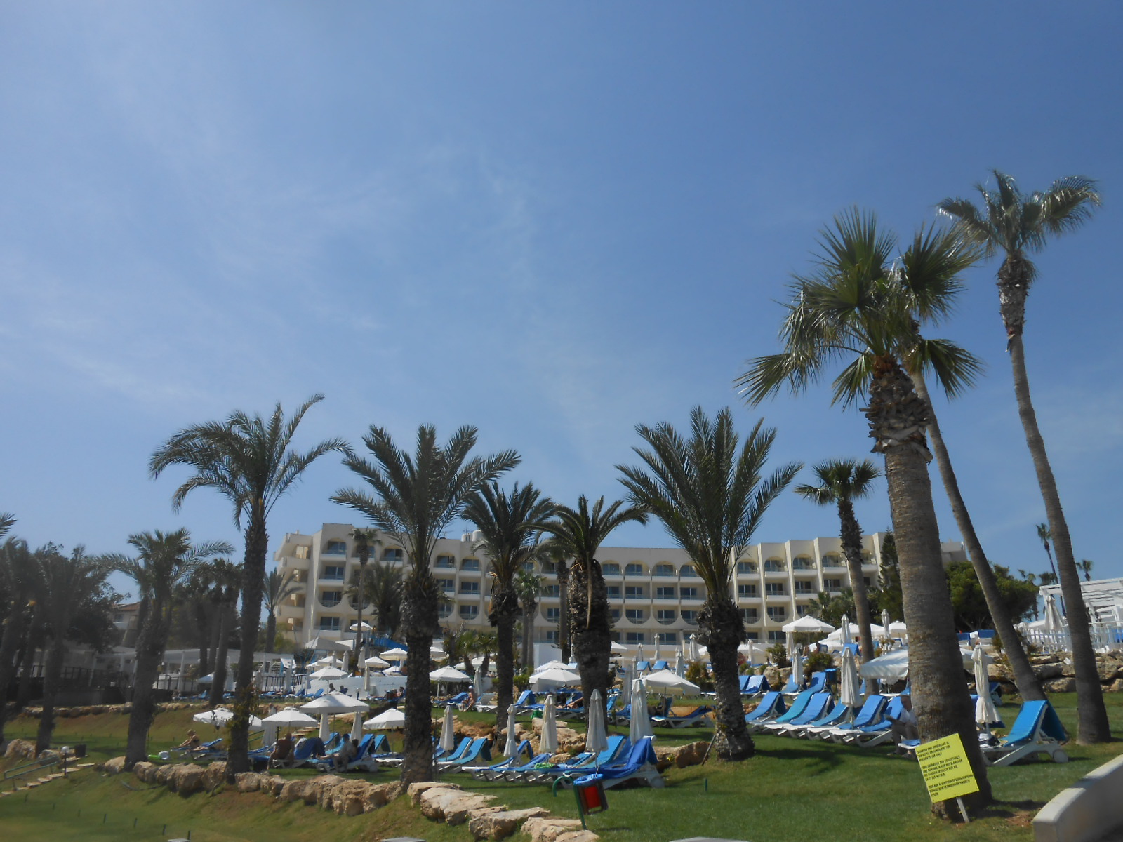 dscn9439.jpg dscn9439.jpg