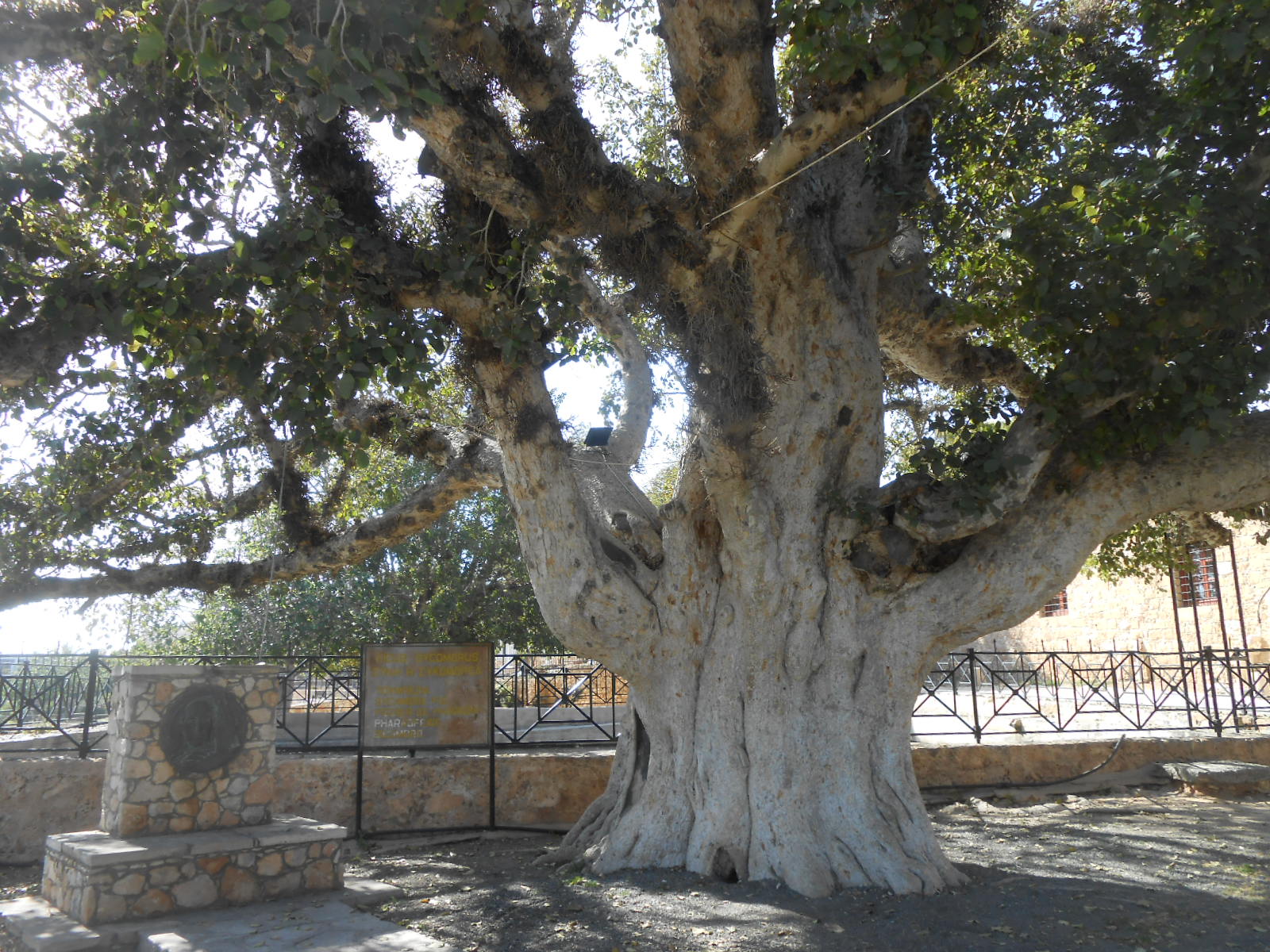 dscn9616.jpg dscn9616.jpg