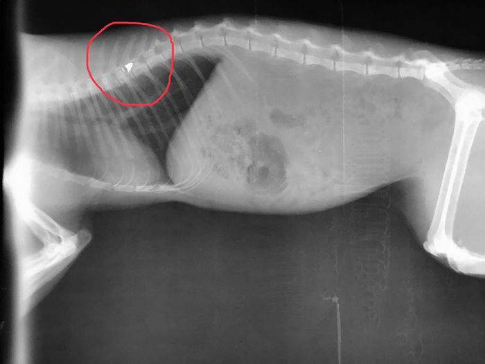 img-0845.jpg img-0845.jpg