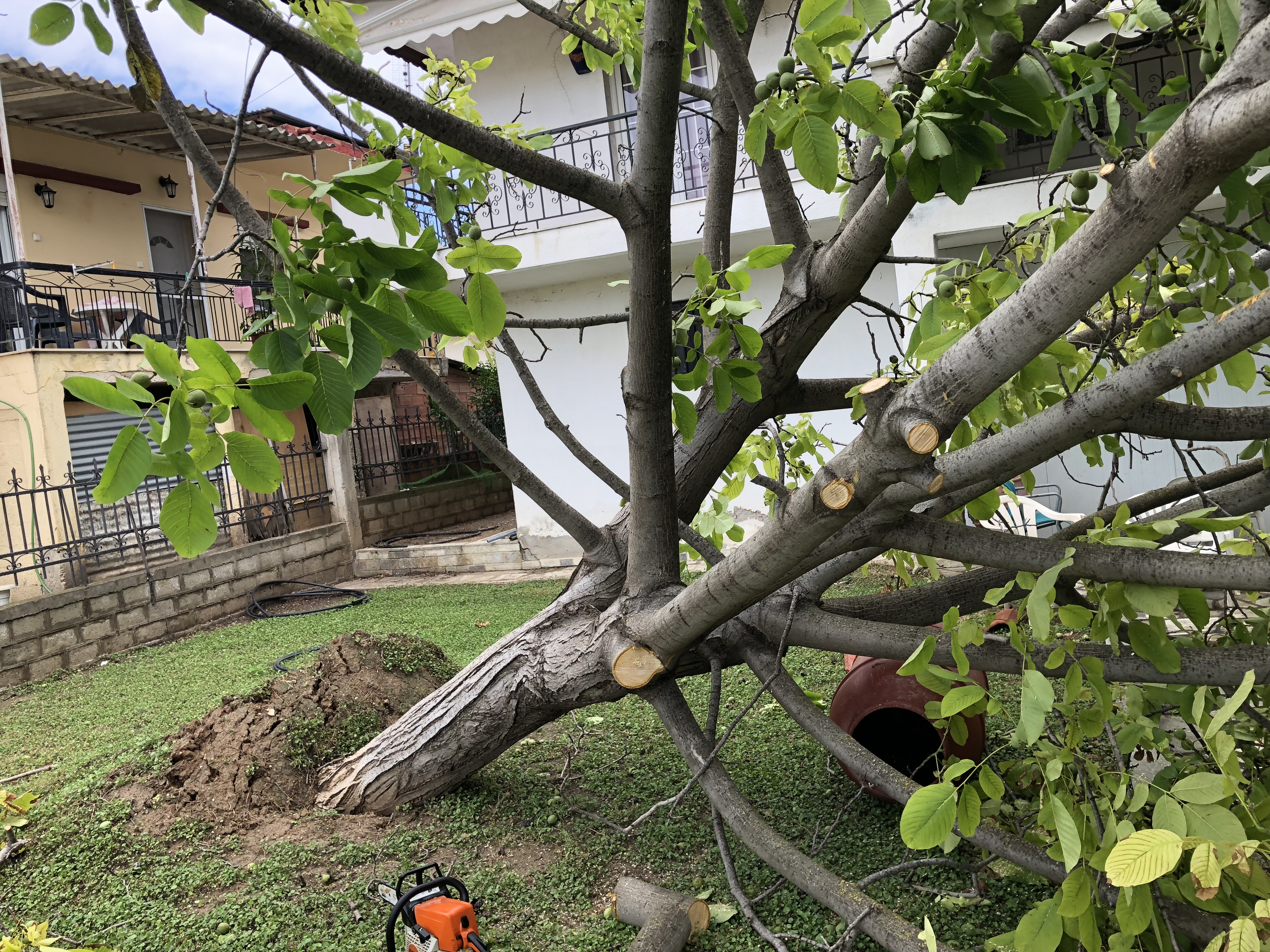 img_7526.jpg img_7526.jpg