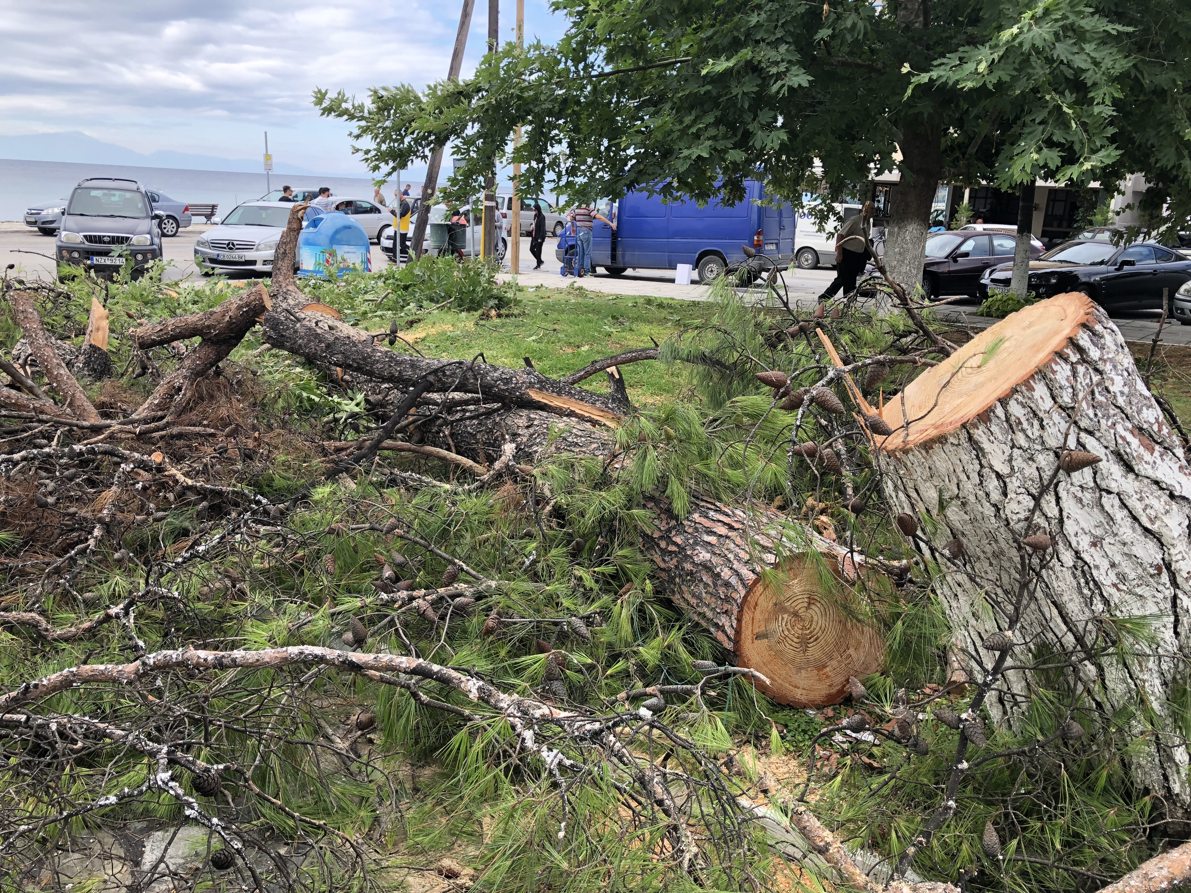 img_7540.jpg img_7540.jpg