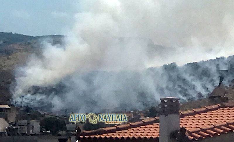 koutsouria_fotia3.jpg koutsouria_fotia3.jpg