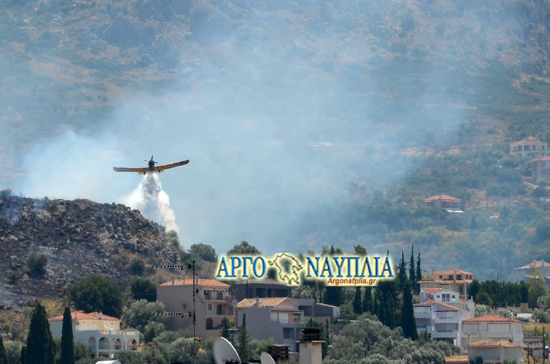 koutsouria_fotia7.jpg koutsouria_fotia7.jpg