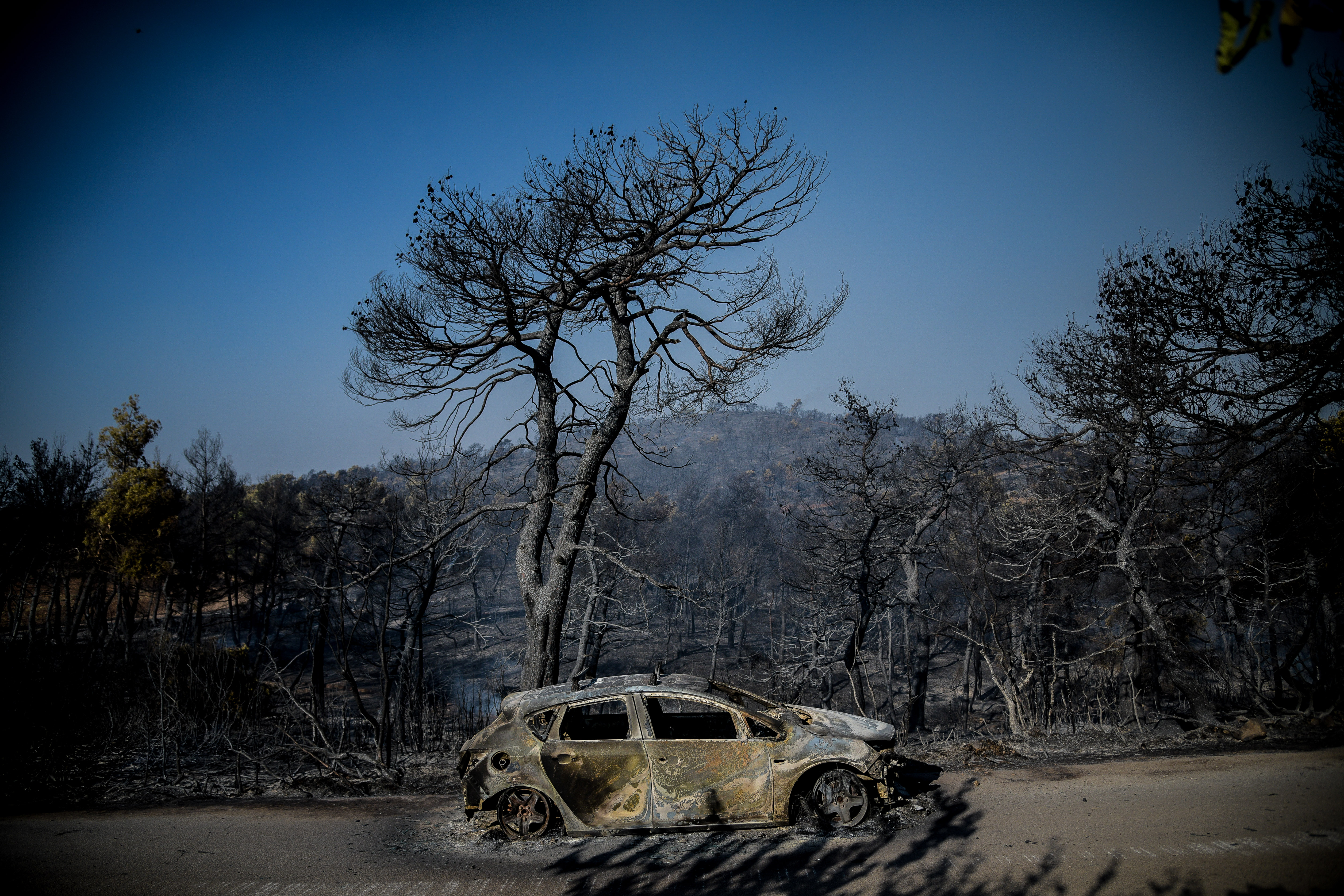 4873643.jpg Φωτιά στην Εύβοια