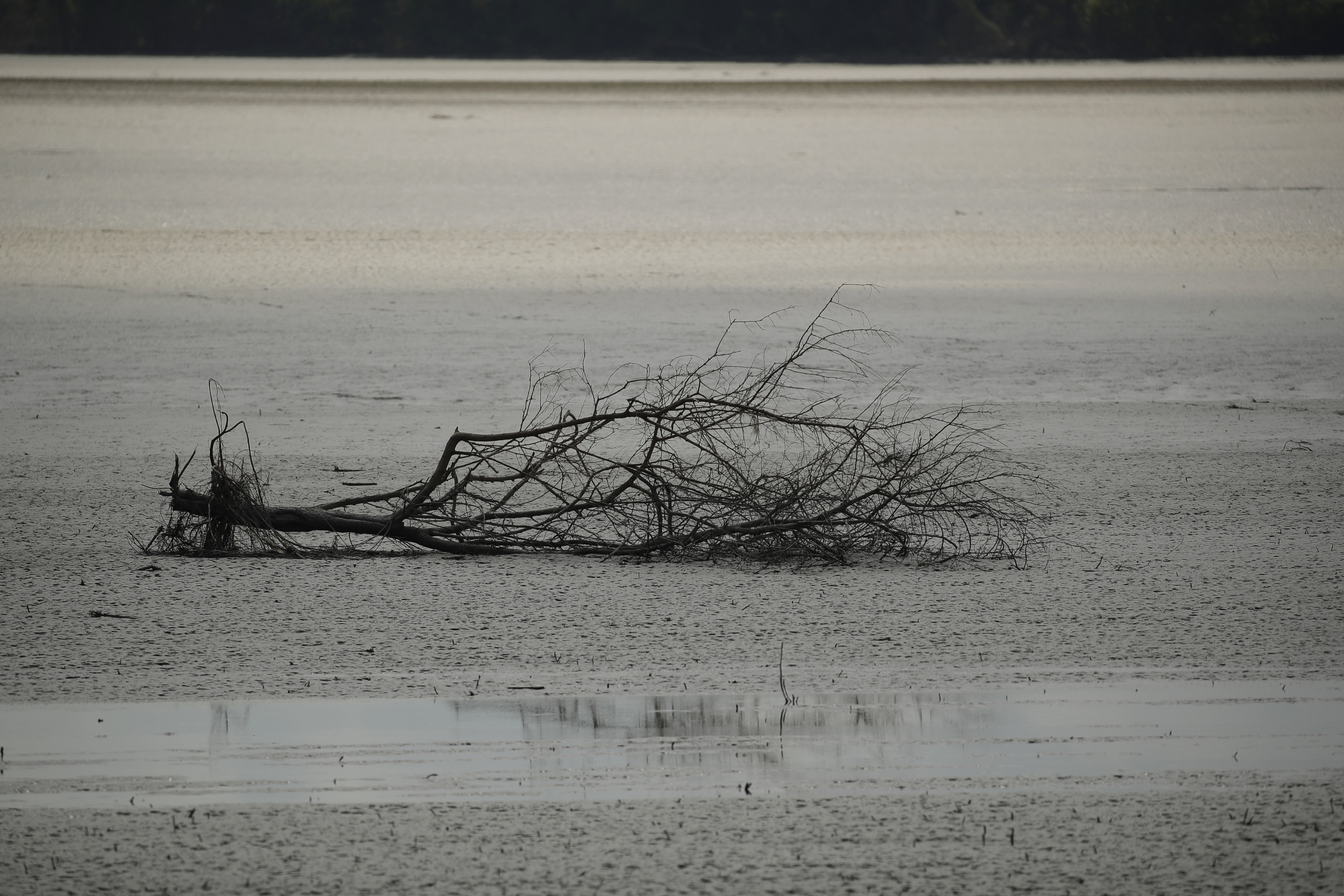 ap_19221592035063.jpg Κλιματική αλλαγή