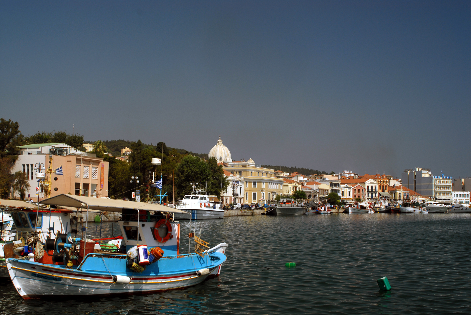 dsc_0325.jpg dsc_0325.jpg