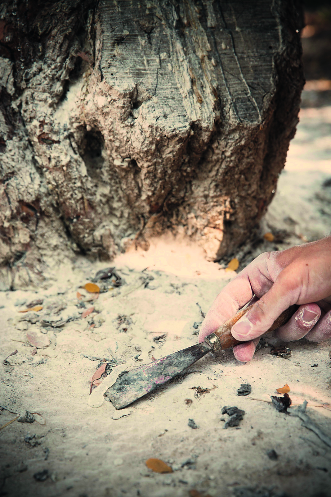 _e9a4569.jpg _e9a4569.jpg