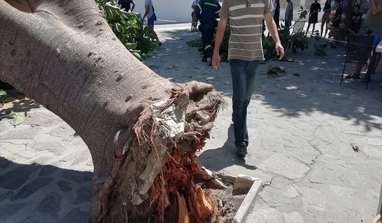 Φίκος μπροστά στην Εκατονταπυλιανή