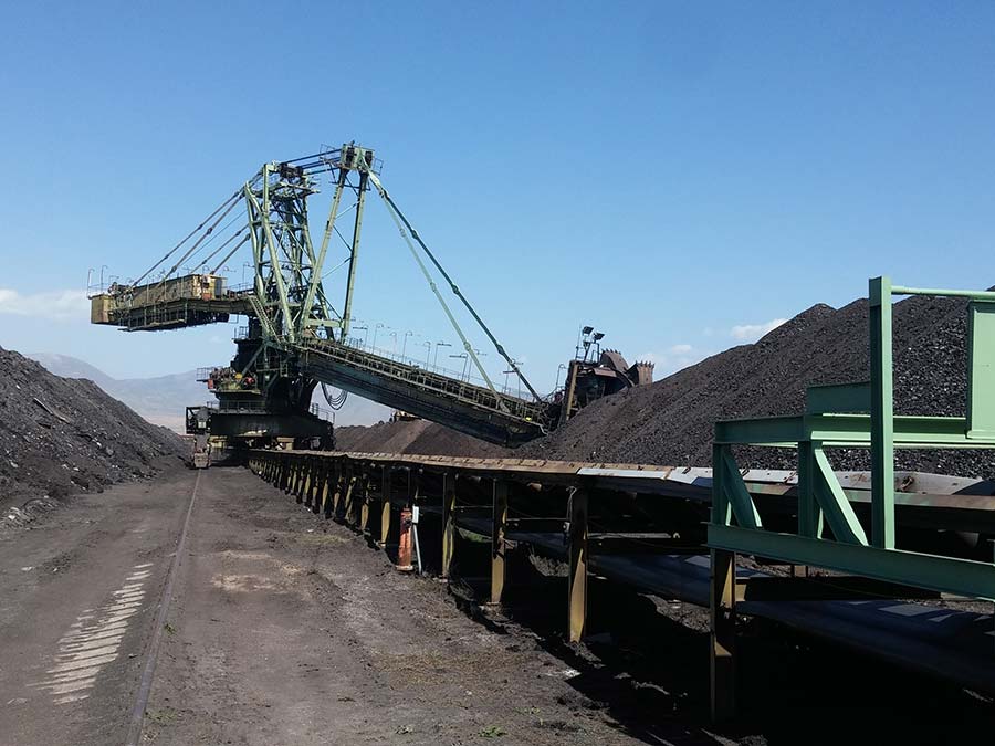 lignitis_1.jpg lignitis_1.jpg