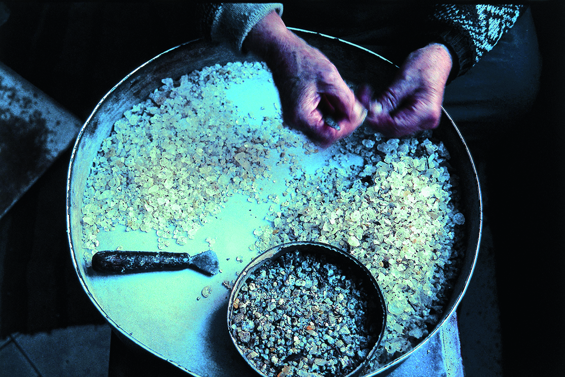 mastiha03.jpg mastiha03.jpg