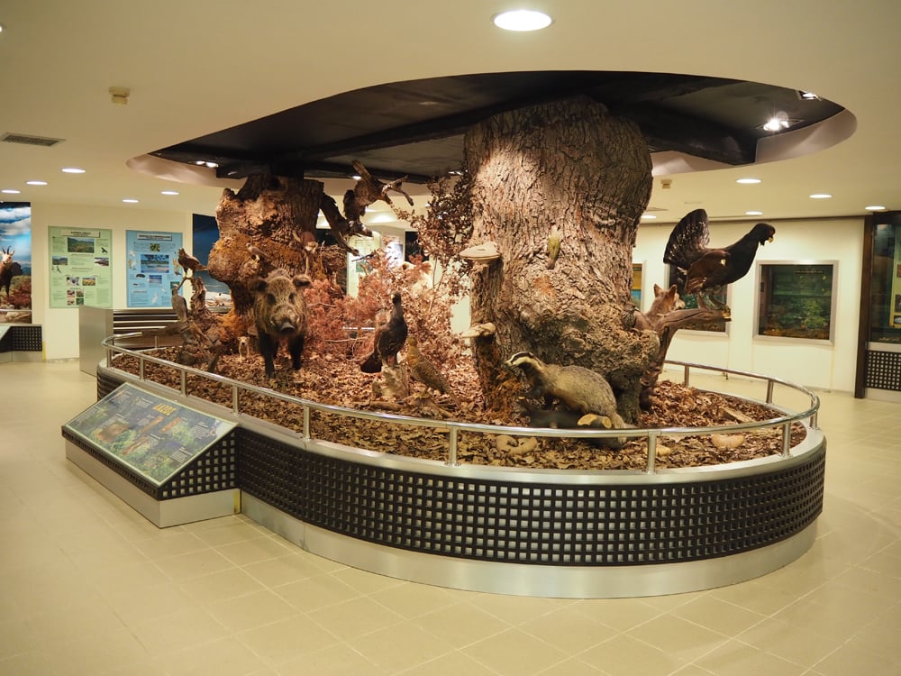 p8231187.jpg p8231187.jpg