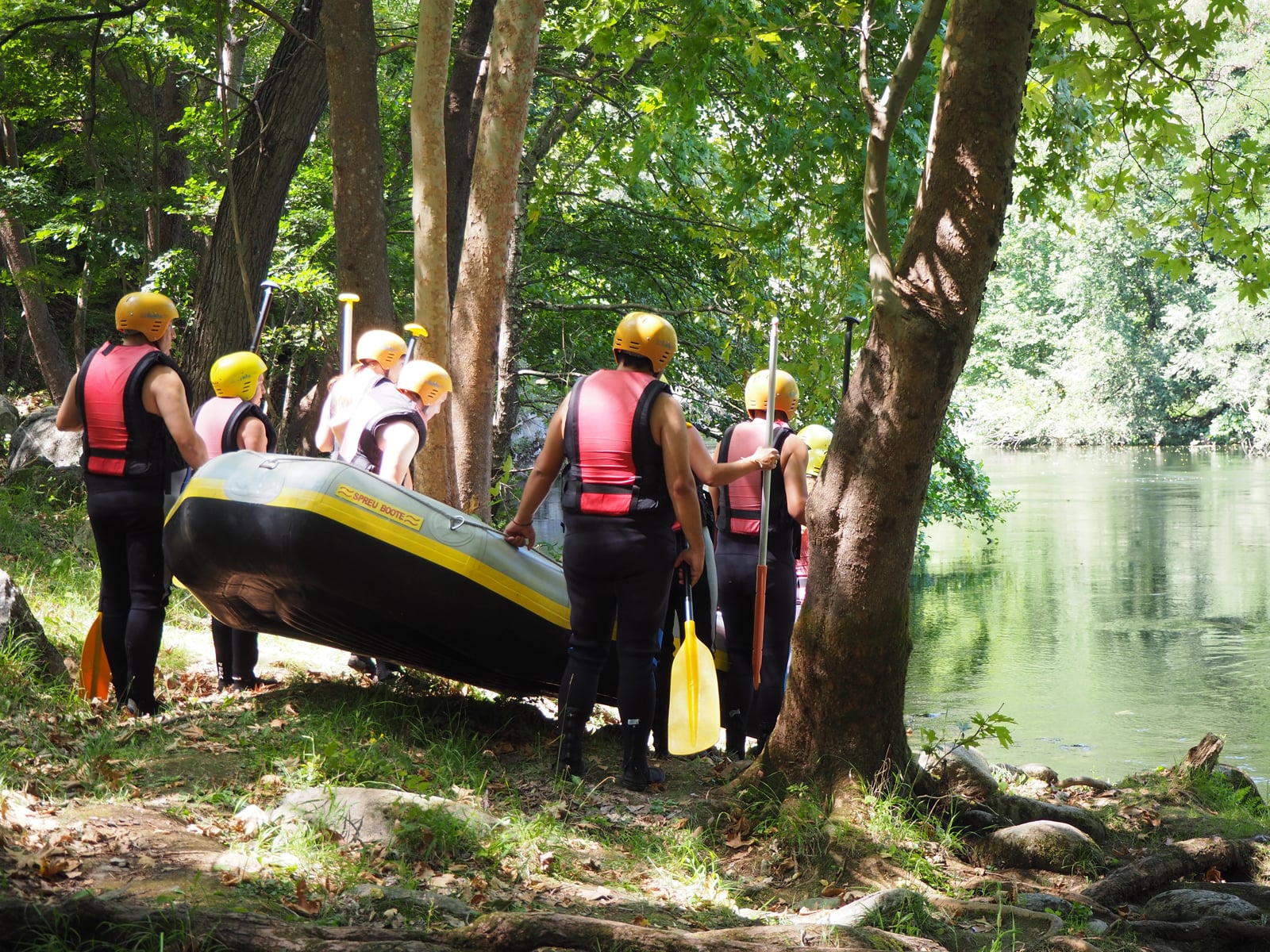 p8231298.jpg p8231298.jpg