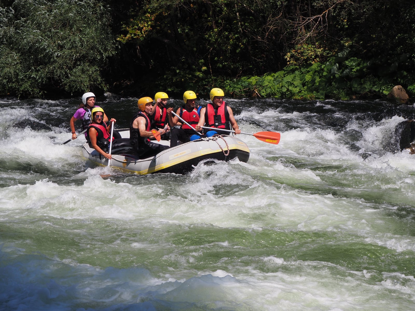 p8231336.jpg p8231336.jpg