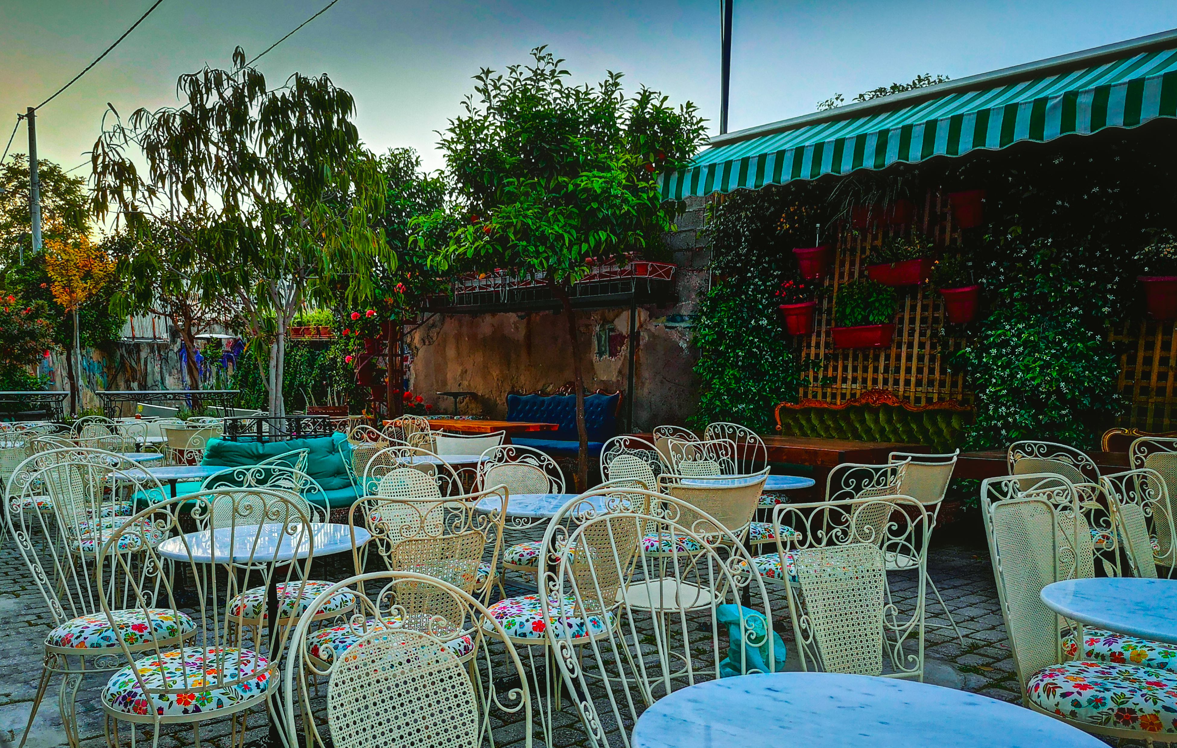 upupa_epops.jpg upupa_epops.jpg