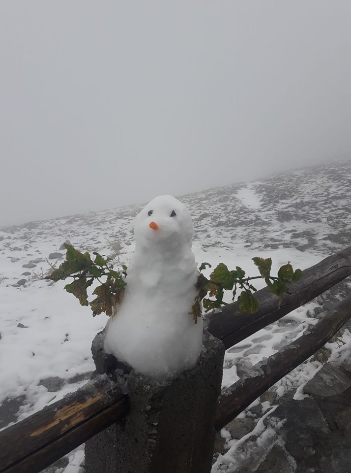 72939962_2174524879514657_8009251942679183360_n.jpg 72939962_2174524879514657_8009251942679183360_n.jpg