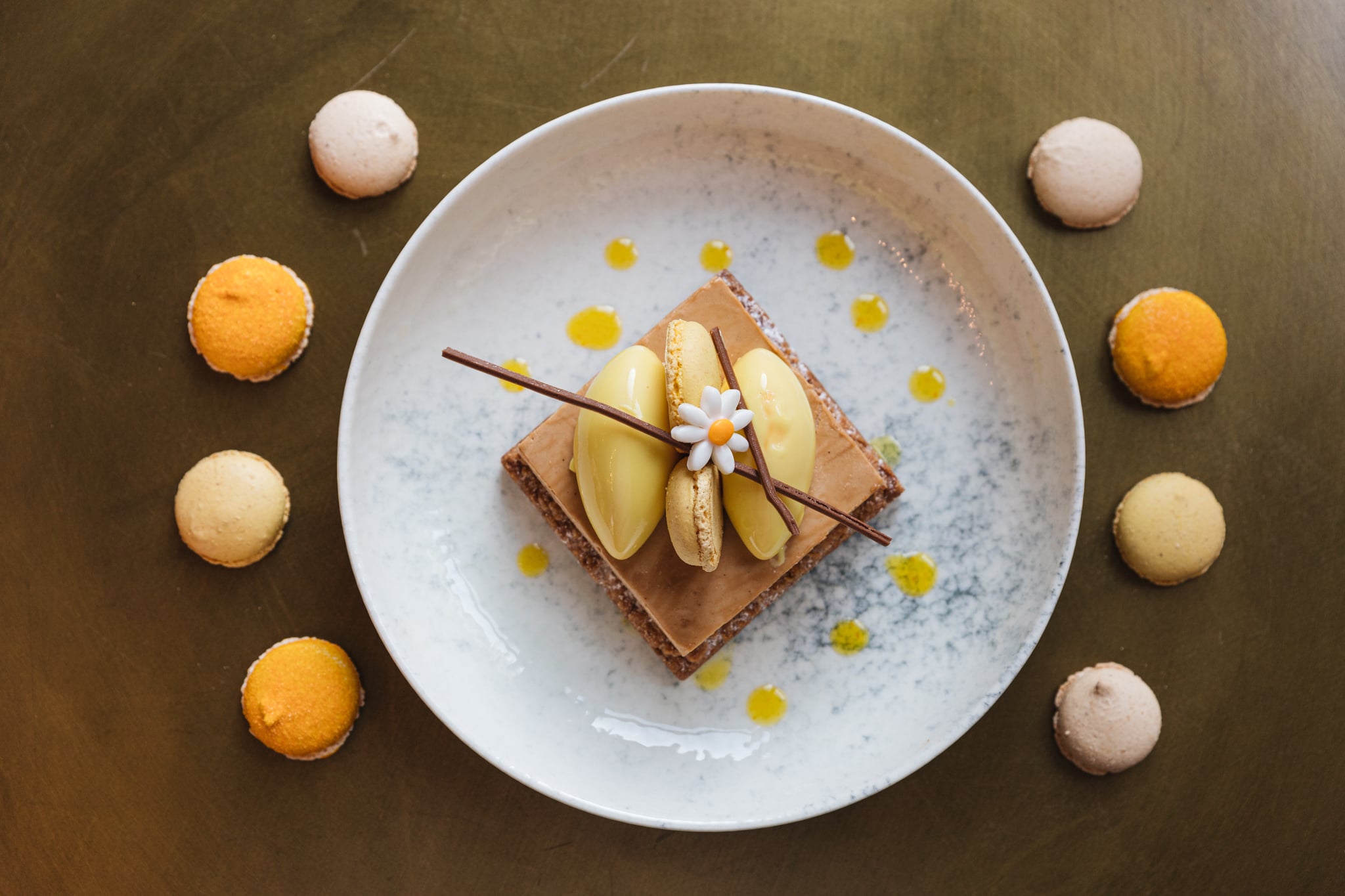 _mg_1039.jpg _mg_1039.jpg