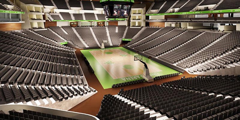 asvel-arena.jpg