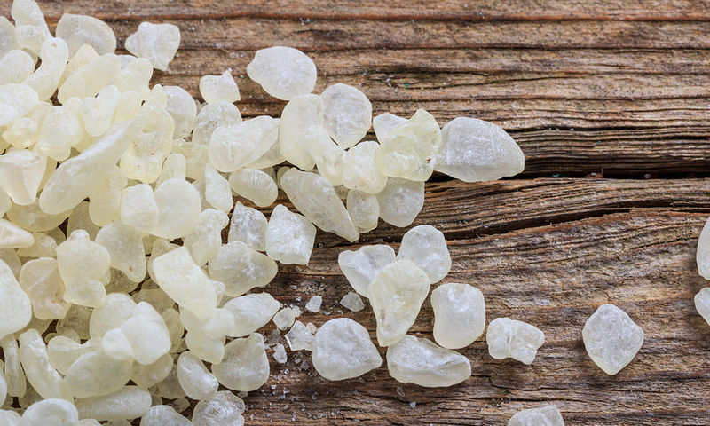 mastiha_hioy.jpg mastiha_hioy.jpg