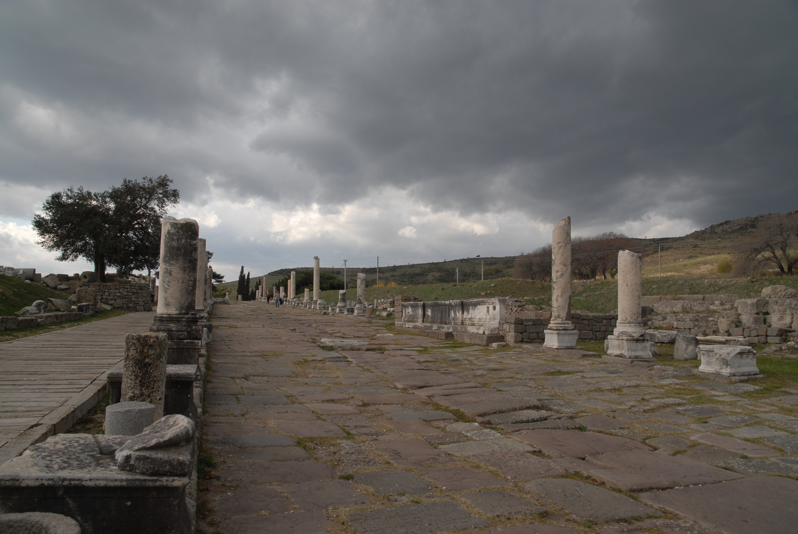 dsc_0014.jpg dsc_0014.jpg