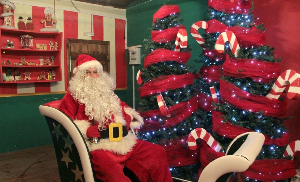 4966_2.jpg 4966_2.jpg