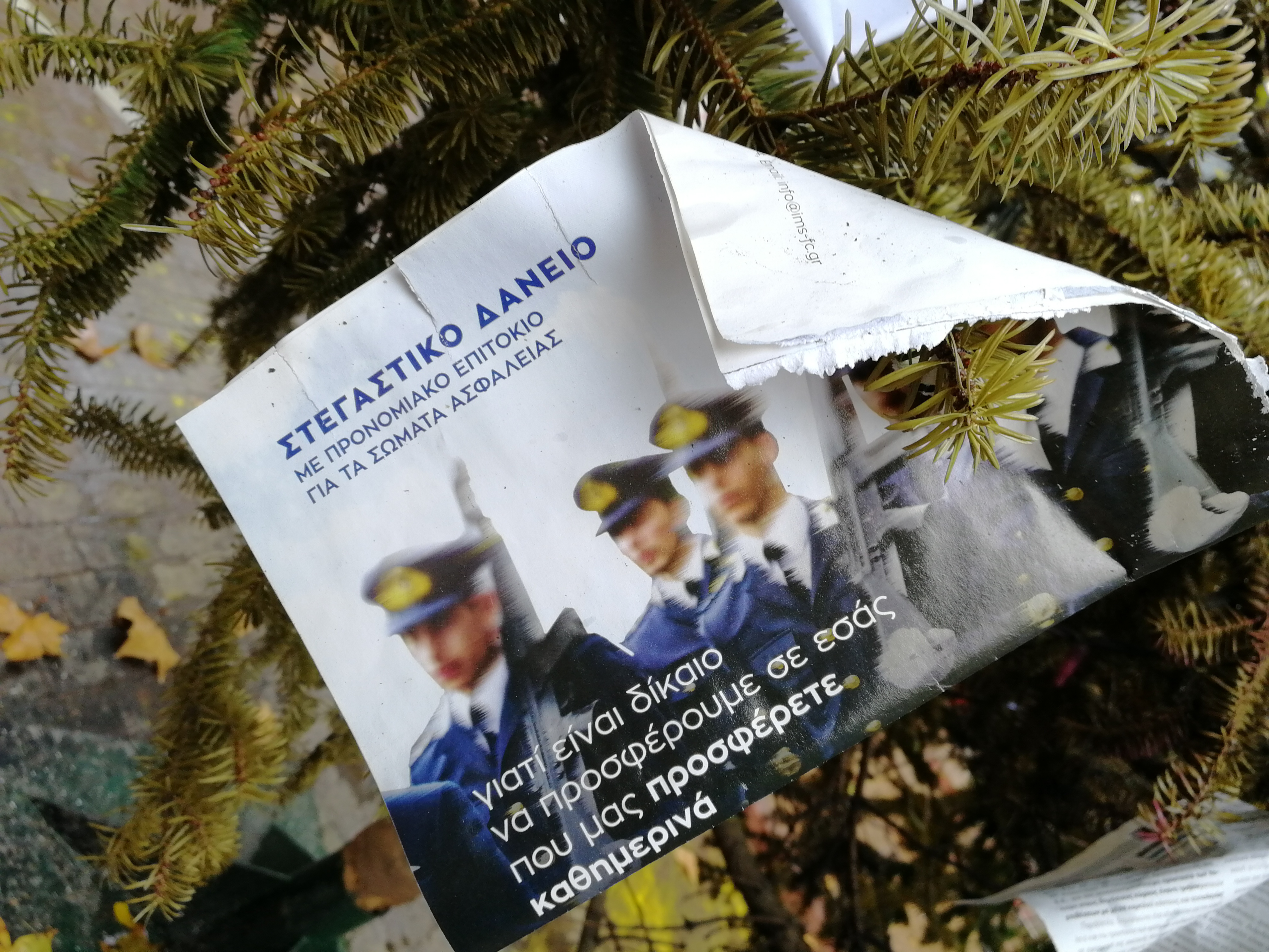 4991393.jpg 4991393.jpg