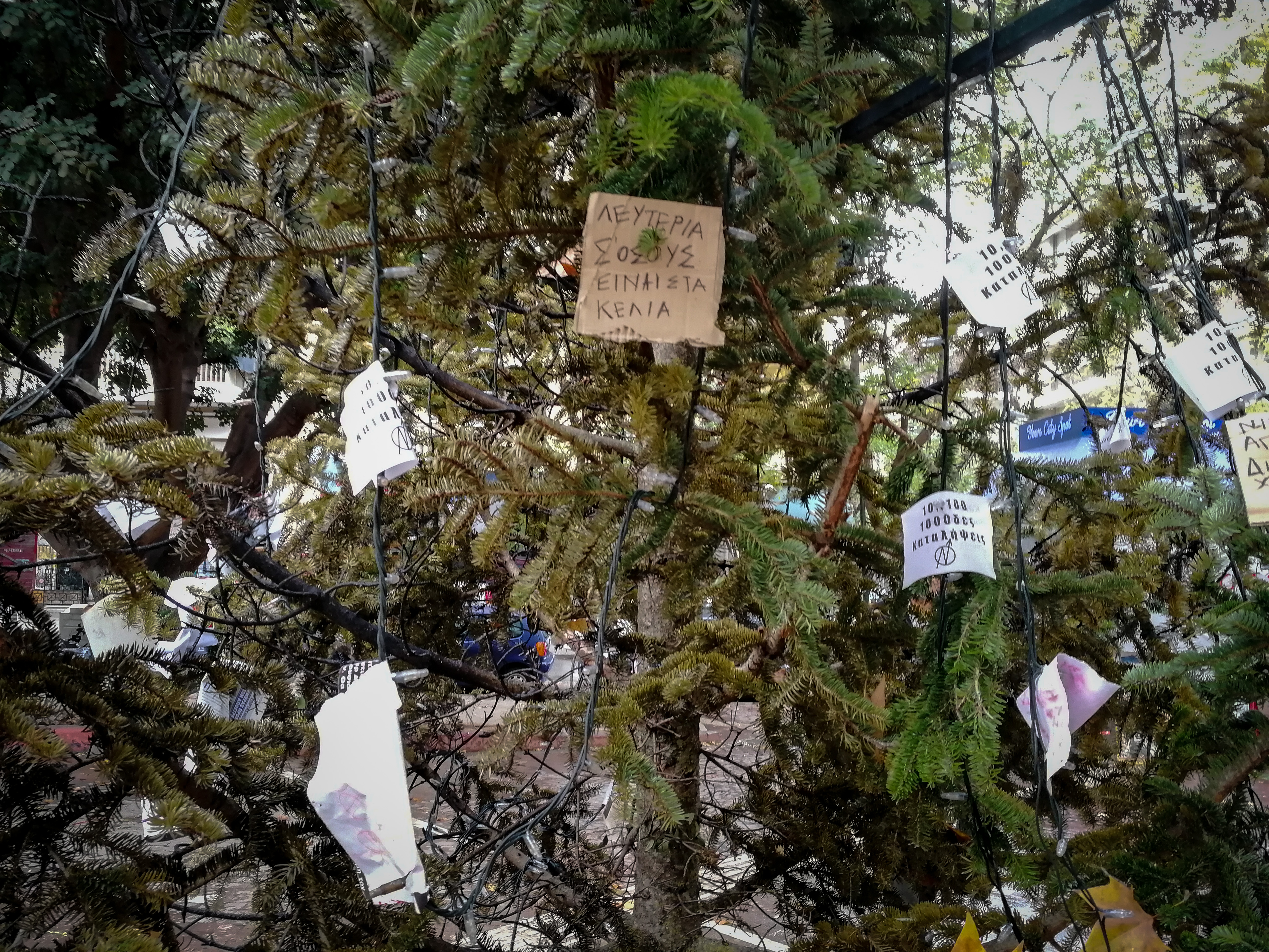 4991401.jpg 4991401.jpg