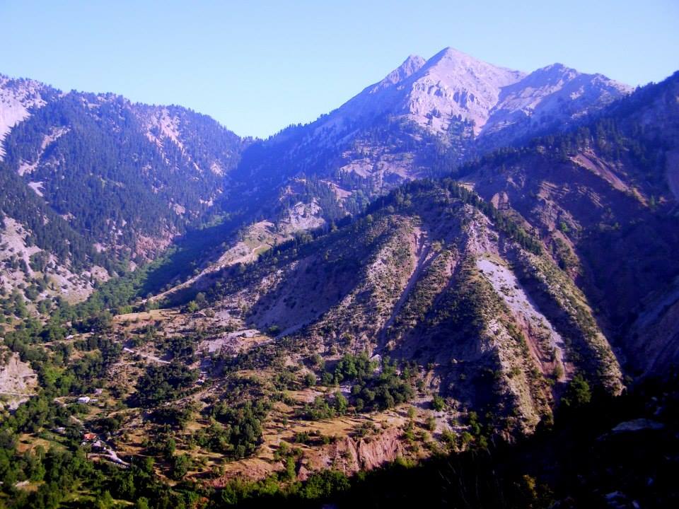 agrafa1.jpg agrafa1.jpg