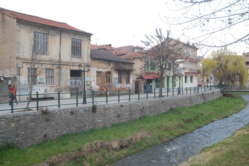 dsc_0015.jpg dsc_0015.jpg