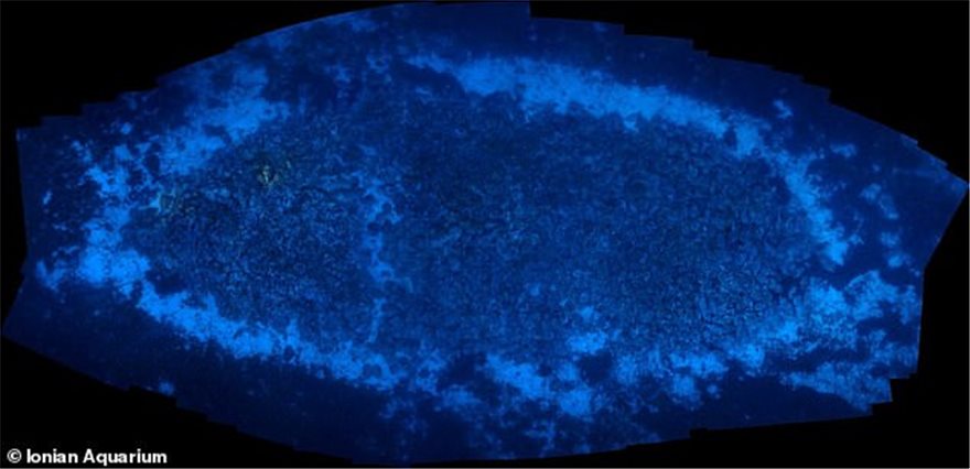 fiskardo-3.jpg fiskardo-3.jpg