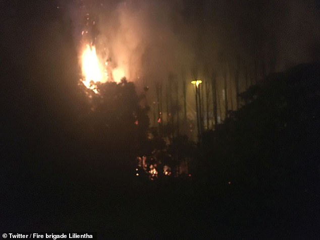 Φωτιά από τα φαναράκια Φωτιά από τα φαναράκια