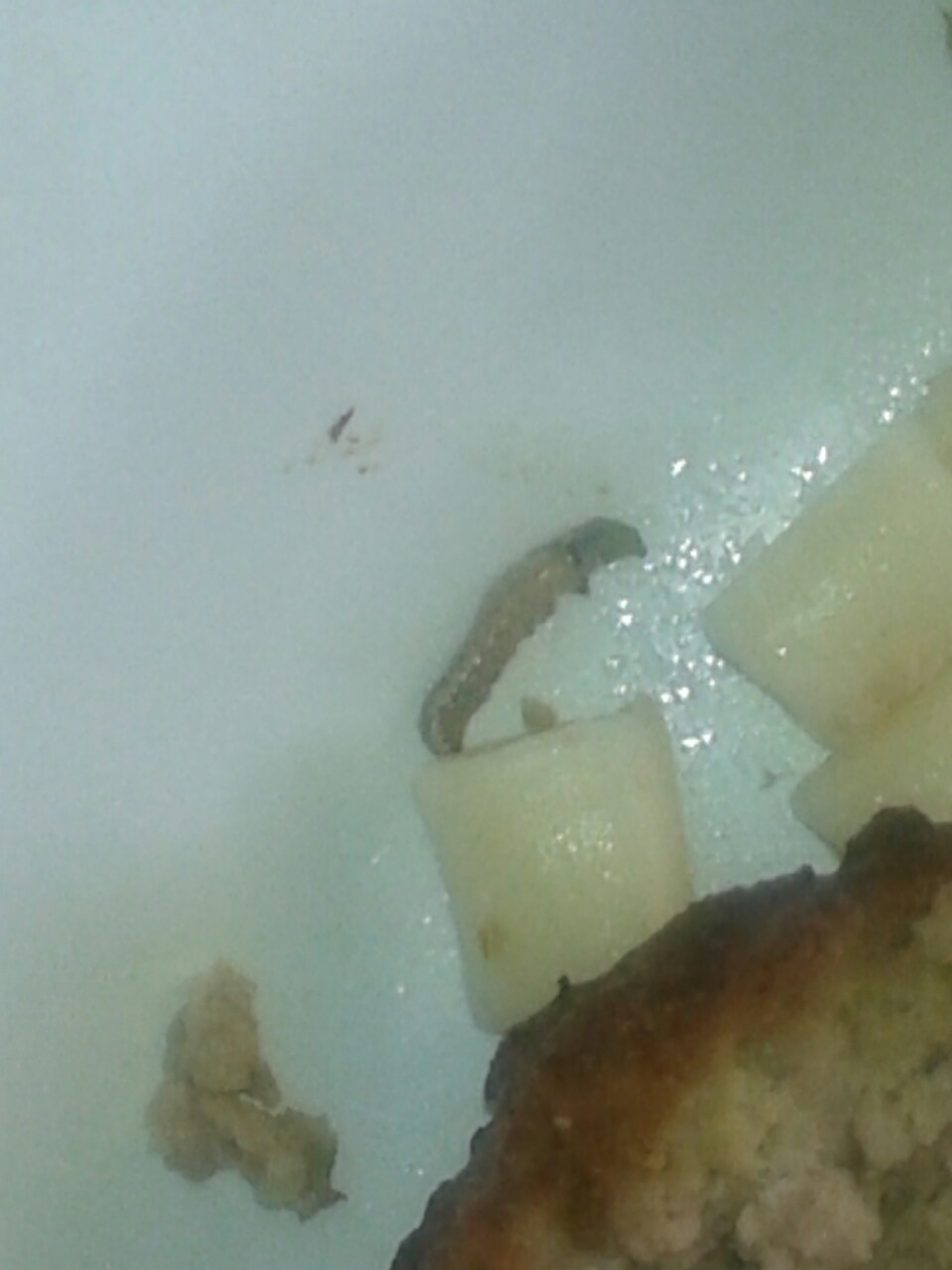 img-50b784e9868554d91cdc7c0740709e02-v_1.jpg img-50b784e9868554d91cdc7c0740709e02-v_1.jpg