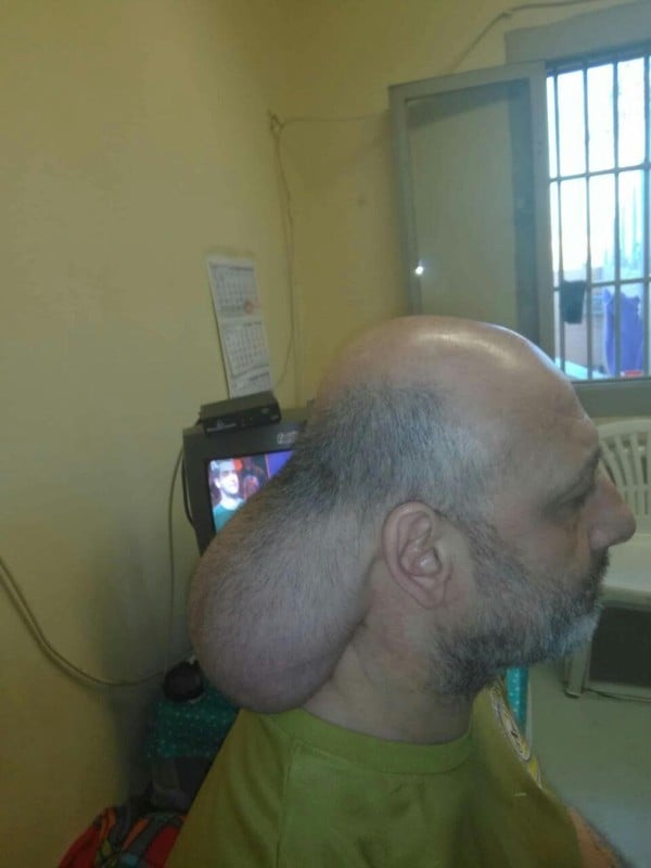 kefali1.jpg kefali1.jpg