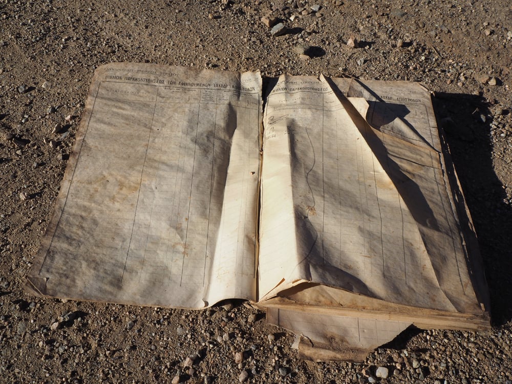 p1093688.jpg p1093688.jpg