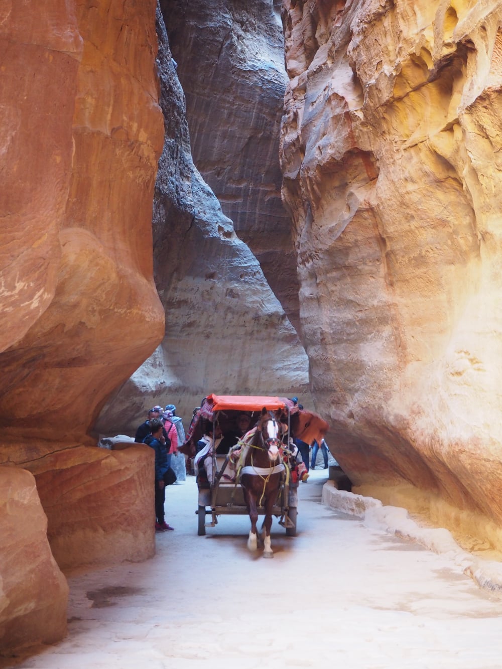 pc103276.jpg pc103276.jpg