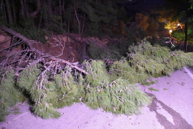 9ffa735105987f1cbac2e1150a70e7c9.jpeg 9ffa735105987f1cbac2e1150a70e7c9.jpeg