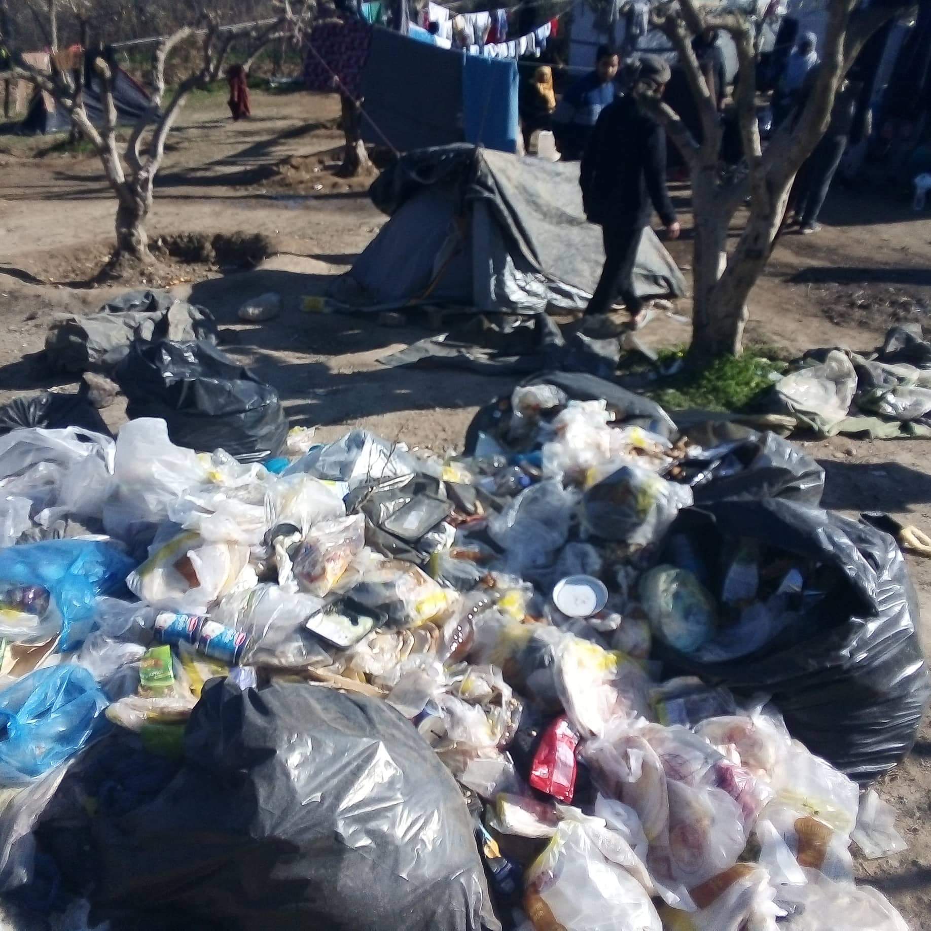 kali4.jpeg kali4.jpeg